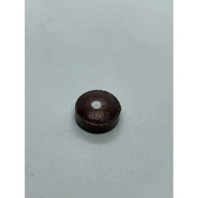 5c749004-8eae-4f26-ab46-52a0531df541-1000×1000-2-1