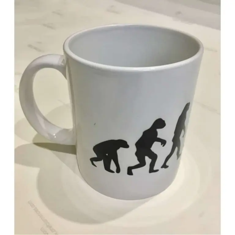 98708841-a9ed-4606-b34c-b455280661f0-1000×1000-1-1